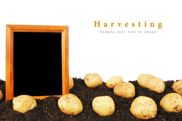 Similar image 15906499