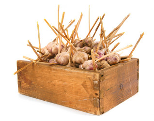 Similar image 15906511