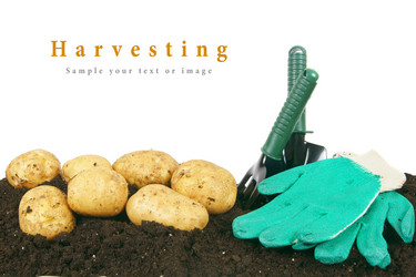 Similar image 15906523