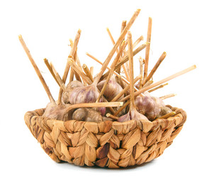 Similar image 15571072