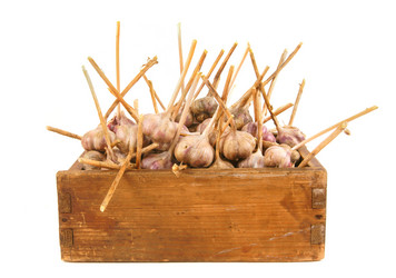 Similar image 15571164