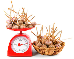 Similar image 15571403