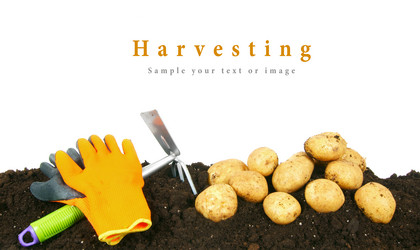 Similar image 15571432