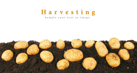 Similar image 15571456