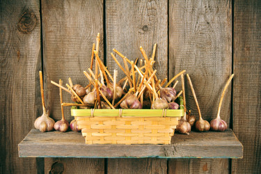 Similar image 15904549