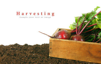 Similar image 15904515