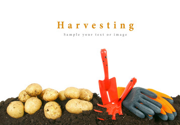 Similar image 15904953