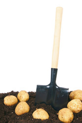 Similar image 15905114