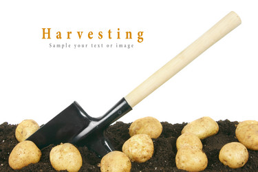 Similar image 15905849