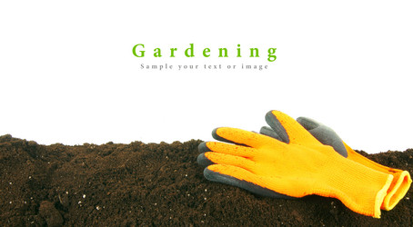 Similar image 15905326