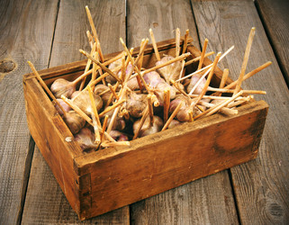 Similar image 15905369