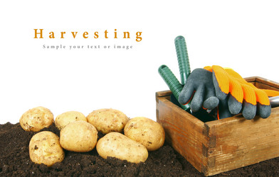 Similar image 15905635