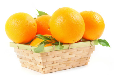 Similar image 15909443