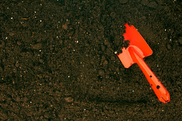 Similar image 15909503