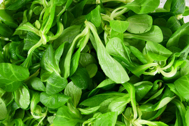 Similar image 15909626