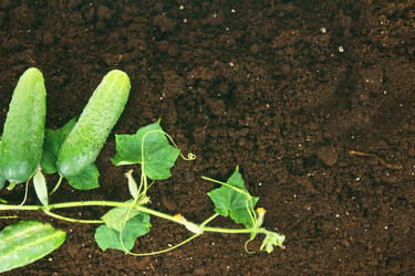 Similar image 15909665