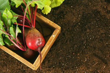 Similar image 15909786