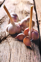 Similar image 15909805