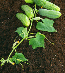 Similar image 15910590