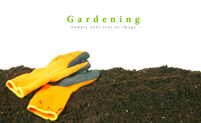 Similar image 15910730