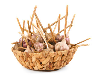 Similar image 15904276