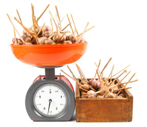 Similar image 15904954