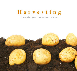 Similar image 15905009