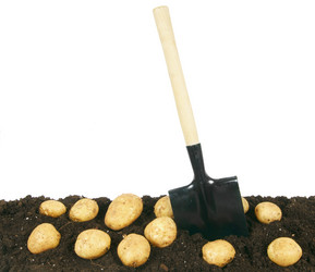 Similar image 15905071