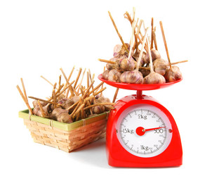 Similar image 15905175