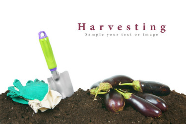 Similar image 15905196