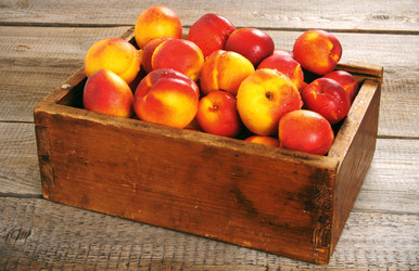 Similar image 15905230