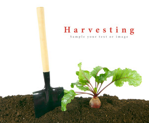 Similar image 15905286