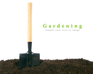 Similar image 15905322