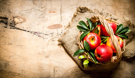 Similar image 15909210