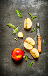 Similar image 15909629