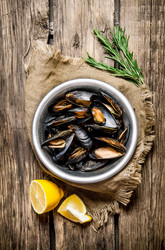 Similar image 15909211