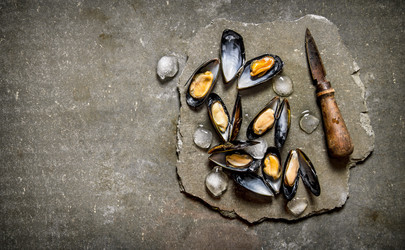 Similar image 15909466