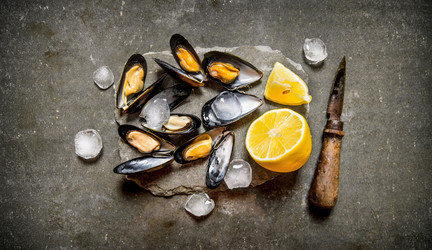 Similar image 15909521