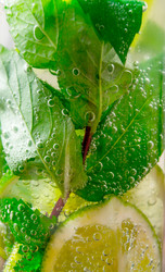 Similar image 15909830