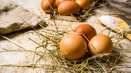 Similar image 15905329