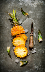 Similar image 15904642