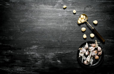 Similar image 15904559