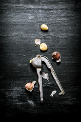 Similar image 15904538