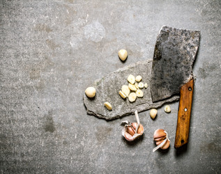 Similar image 15904840