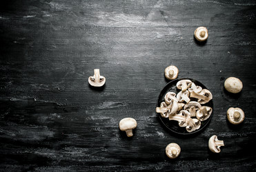 Similar image 15571190