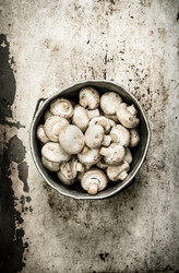 Similar image 15571254