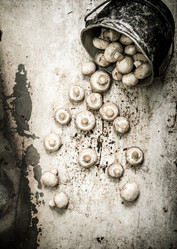 Similar image 15571274