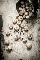 Similar image 15571294