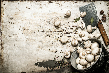 Similar image 15571372