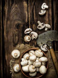 Similar image 15571474